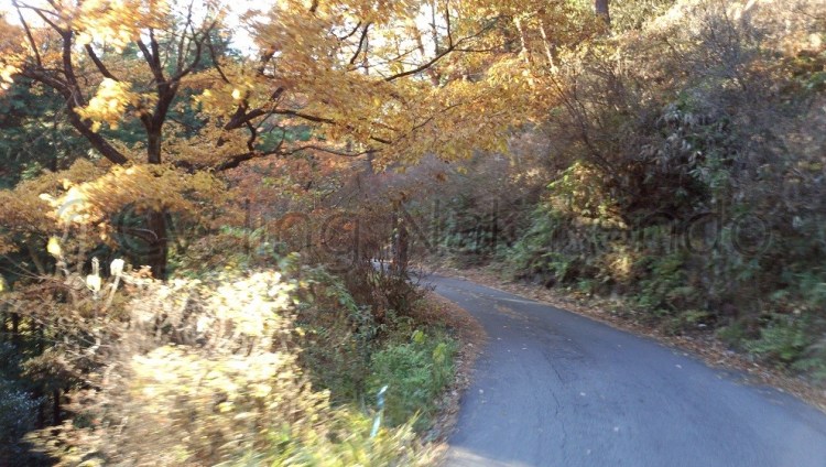 watermarked-DSC_0150S