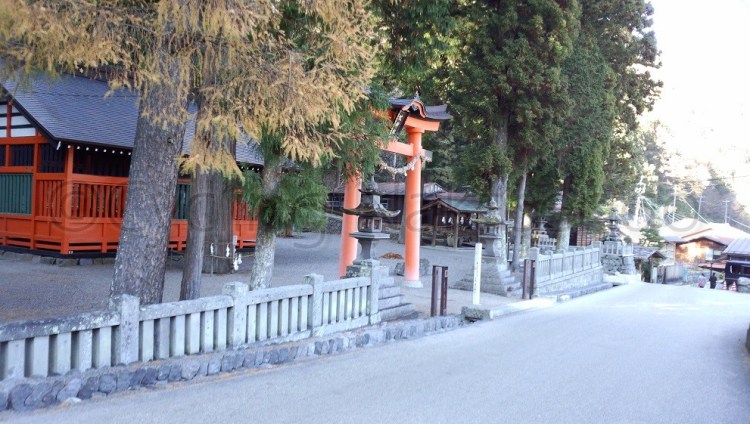 watermarked-DSC_0220S