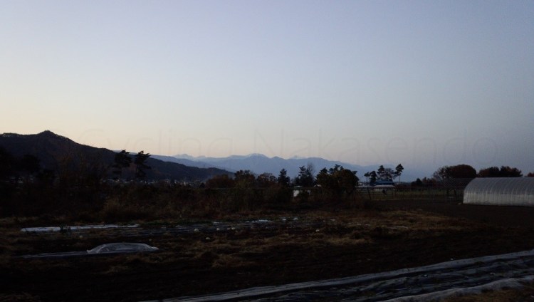 watermarked-DSC_0250S