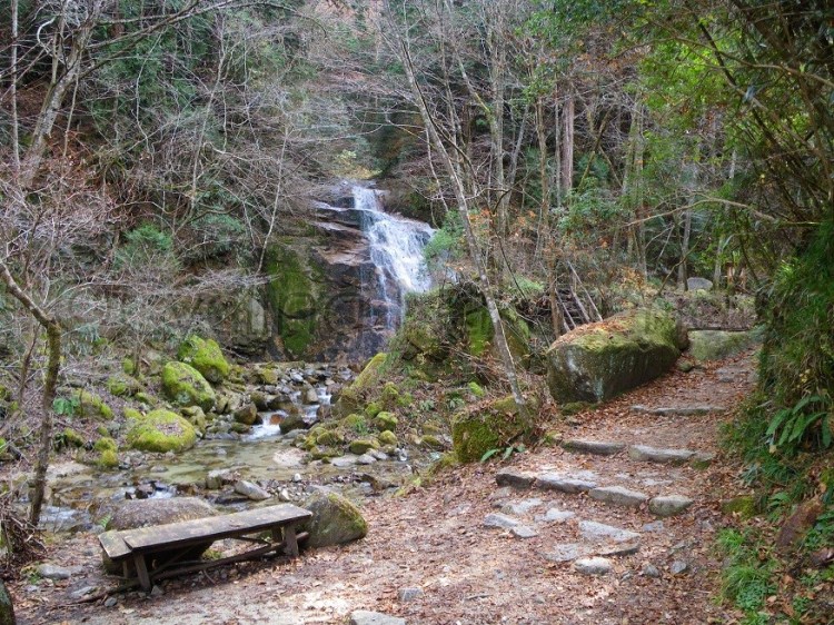 watermarked-IMGP0676S