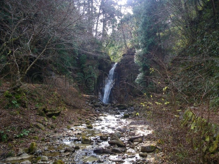 watermarked-IMGP0681S