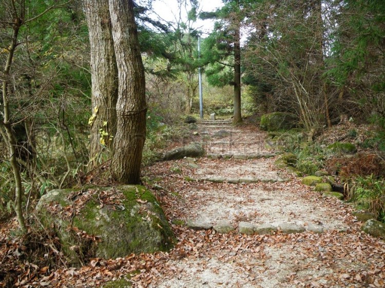 watermarked-IMGP0714S