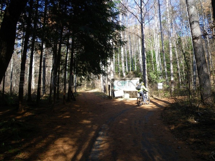 watermarked-IMGP1731S