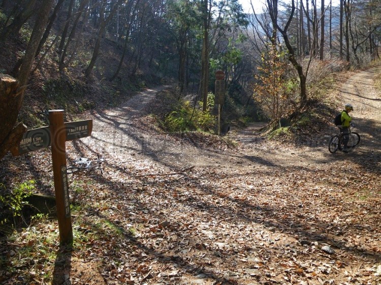 watermarked-IMGP1736S