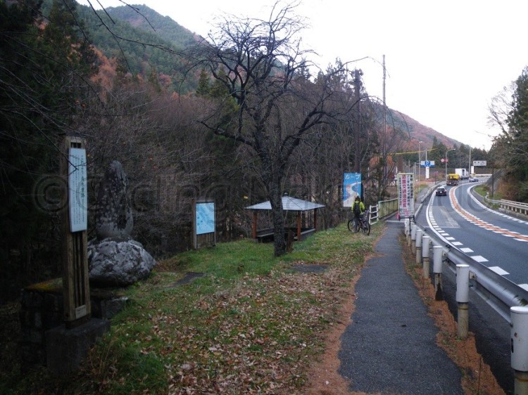 watermarked-IMGP1803S