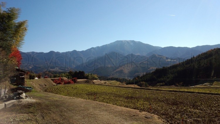 watermarked-DSC_0075S